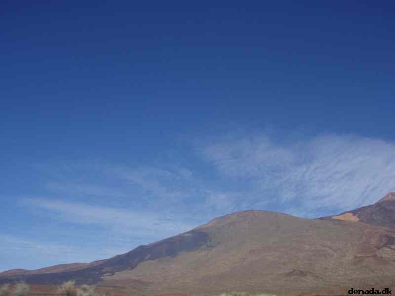 * Image 40