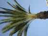 DSC00029.JPG - 2008:01:20 17:46:20