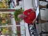 DSC00204.JPG - 2008:01:25 09:27:02