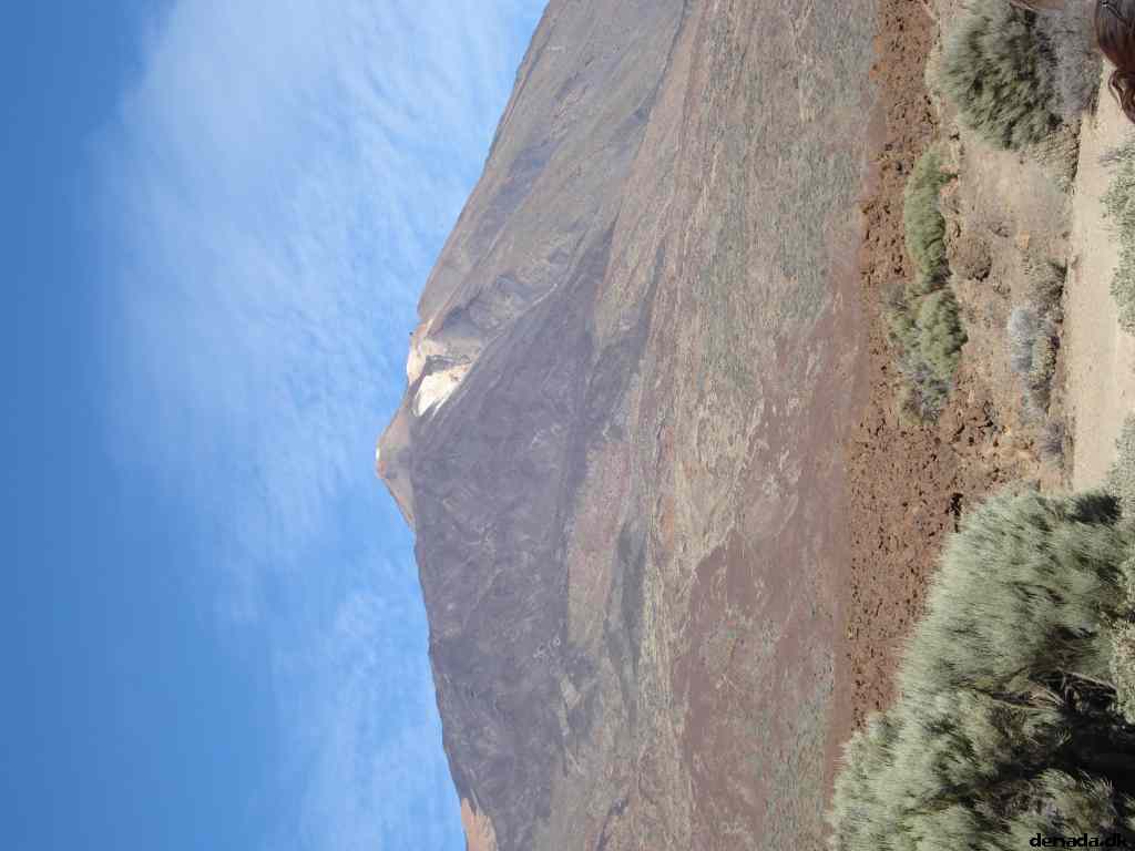 * Image 170