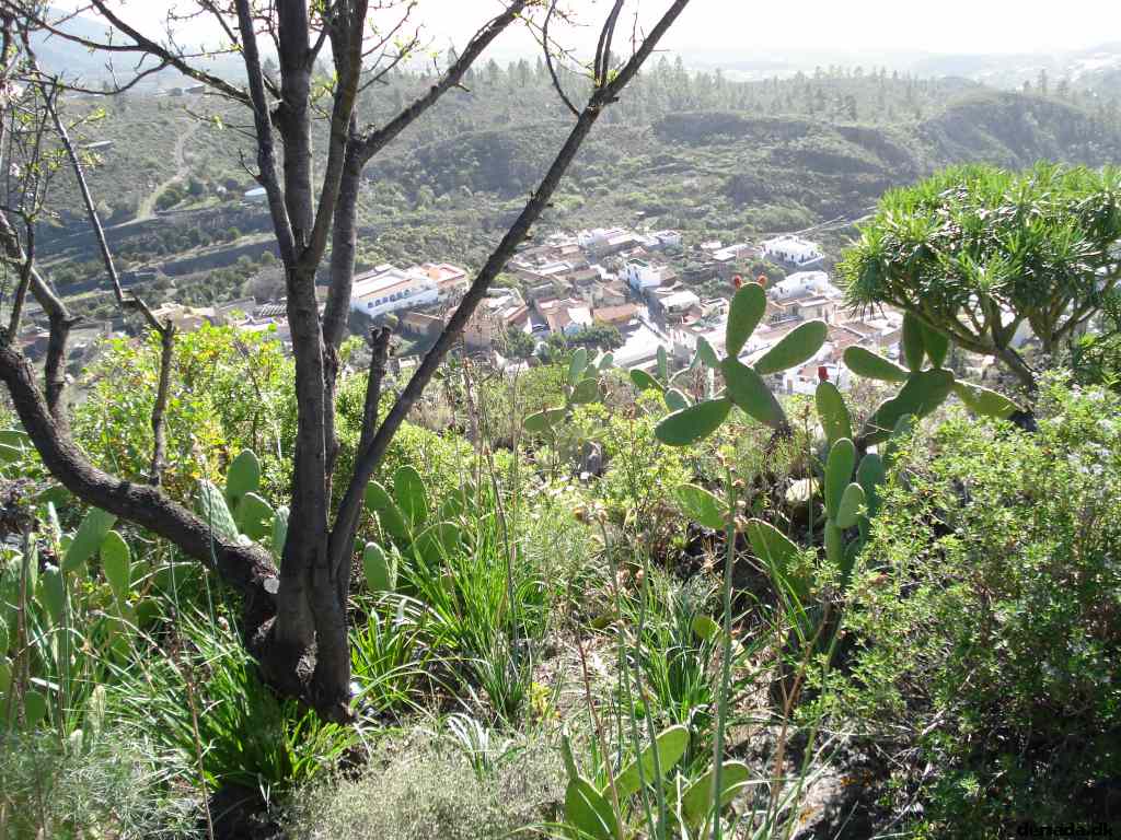 * Image 183