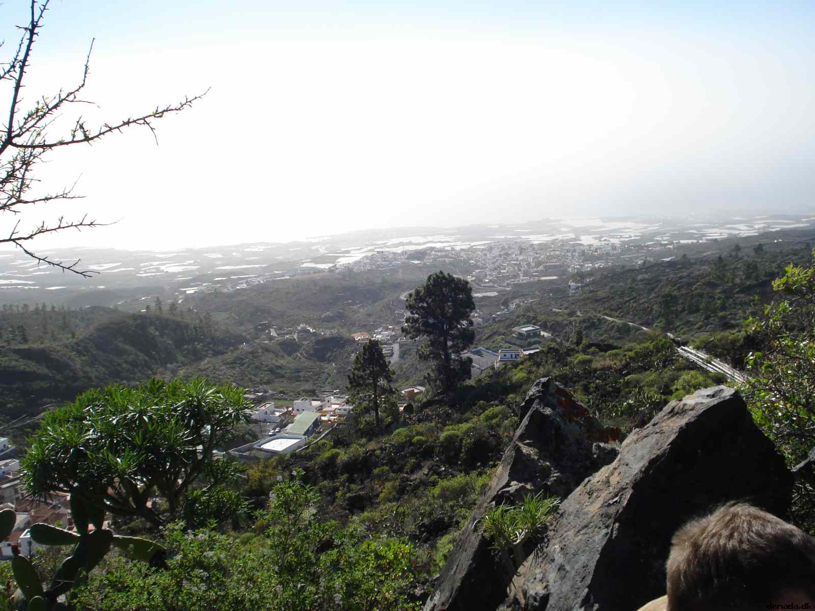 * Image 181