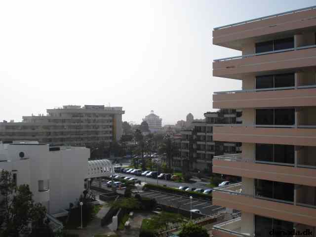 * Image 6