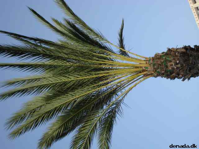 * Image 8