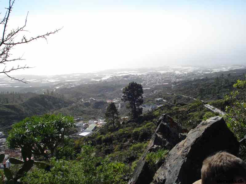 * Image 181