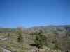 IMG_7610.JPG - 2008:01:25 16:51:19