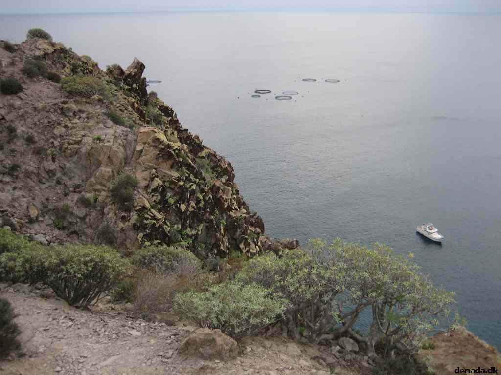 * Image 14