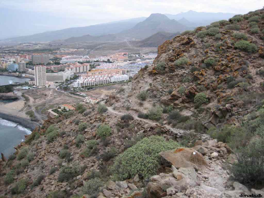 * Image 23