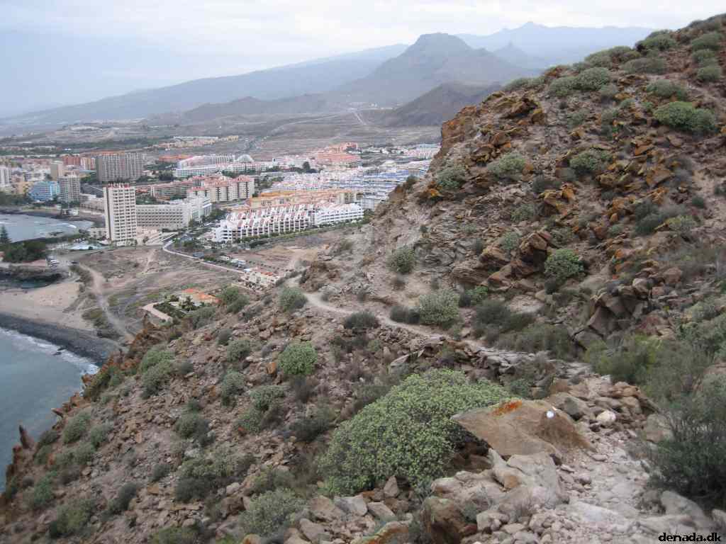 * Image 24