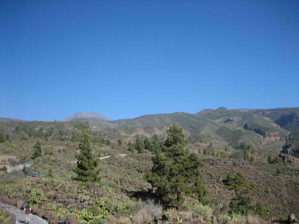 * Image 40