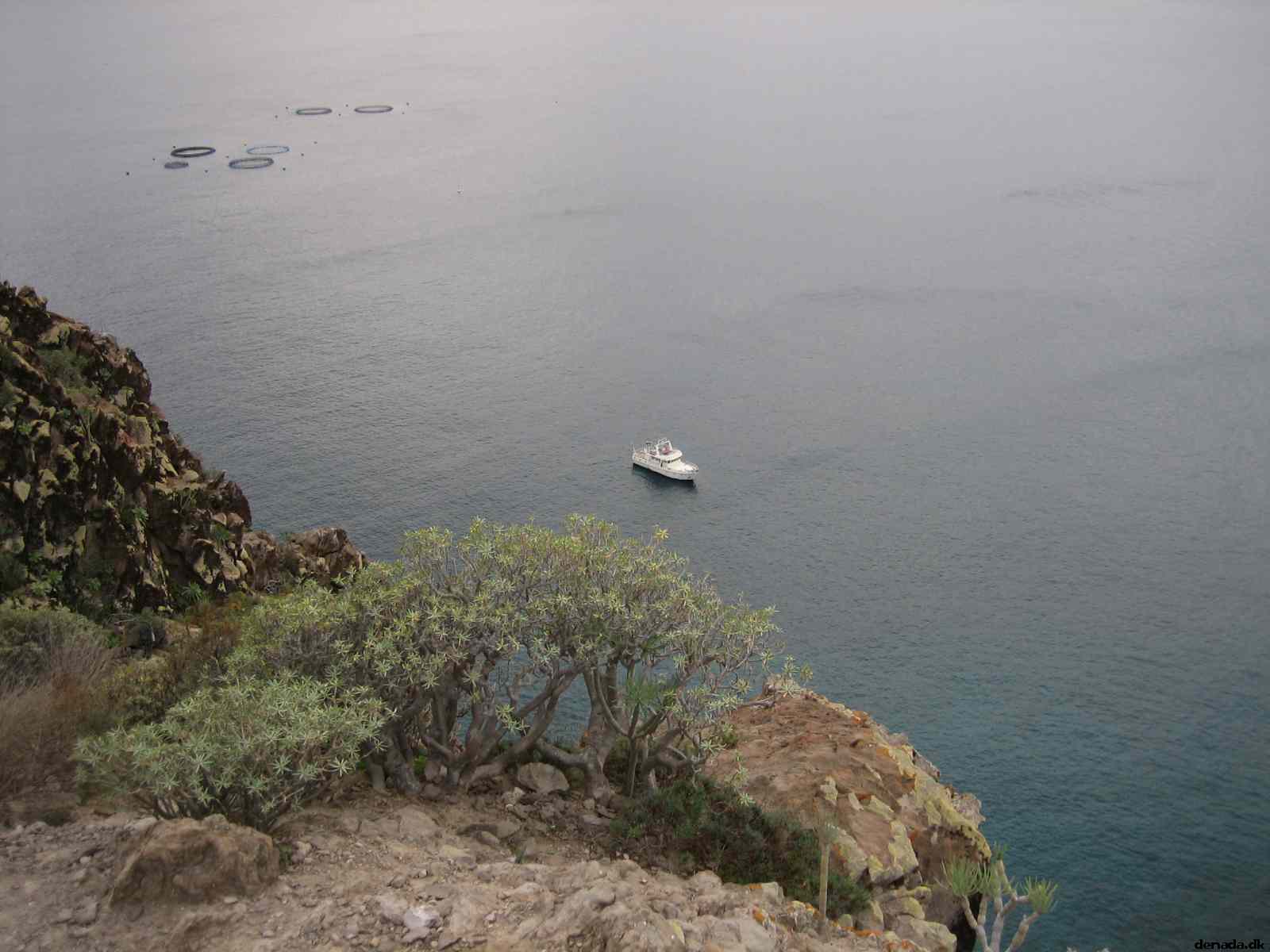 * Image 13