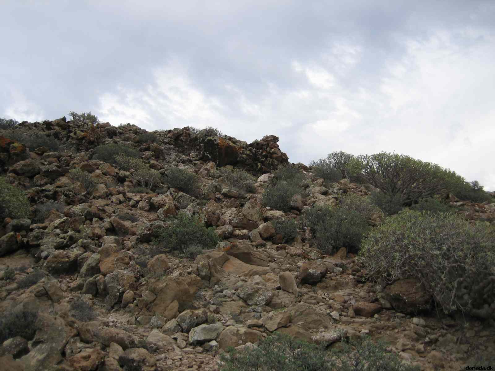 * Image 22