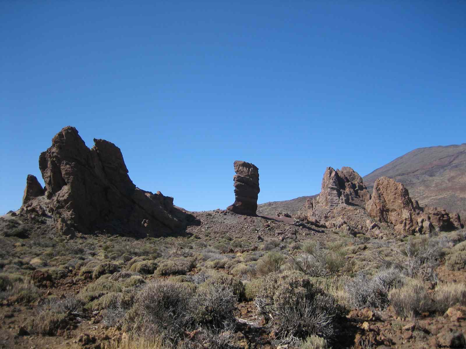 * Image 37