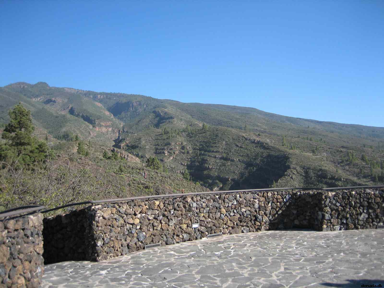 * Image 41