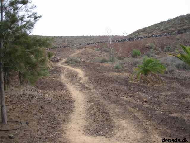 * Image 1