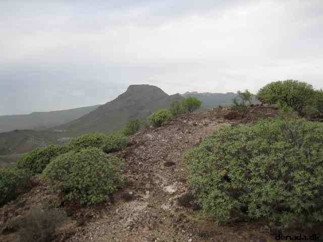 * Image 2