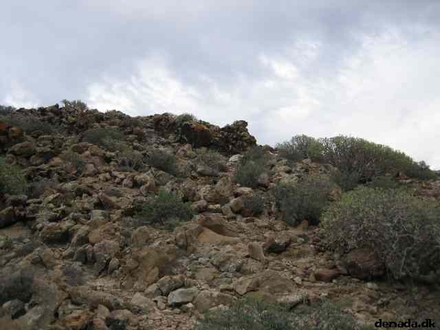 * Image 22