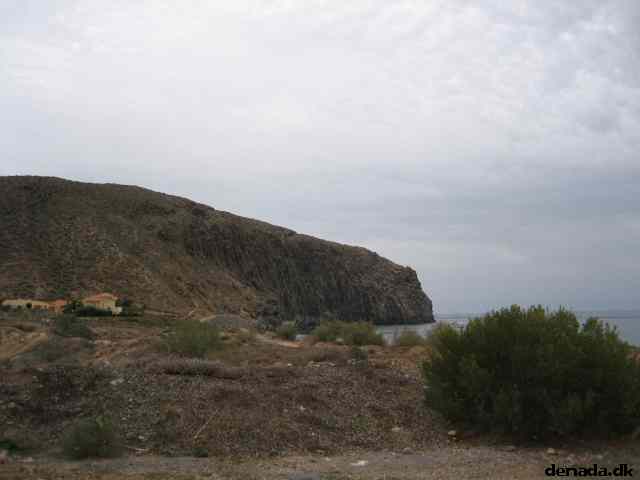 * Image 25