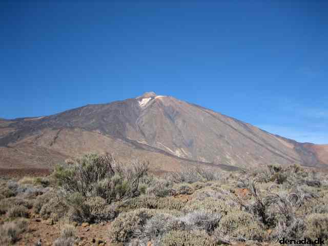* Image 36