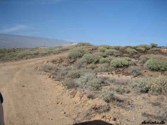 * Image 62