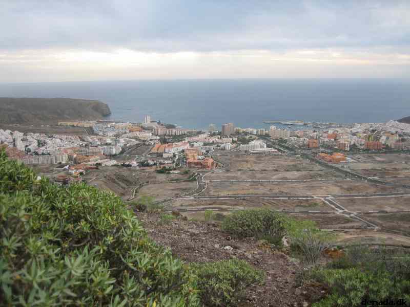 * Image 4