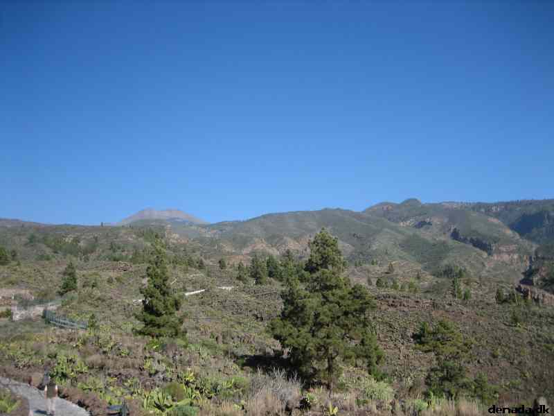 * Image 40