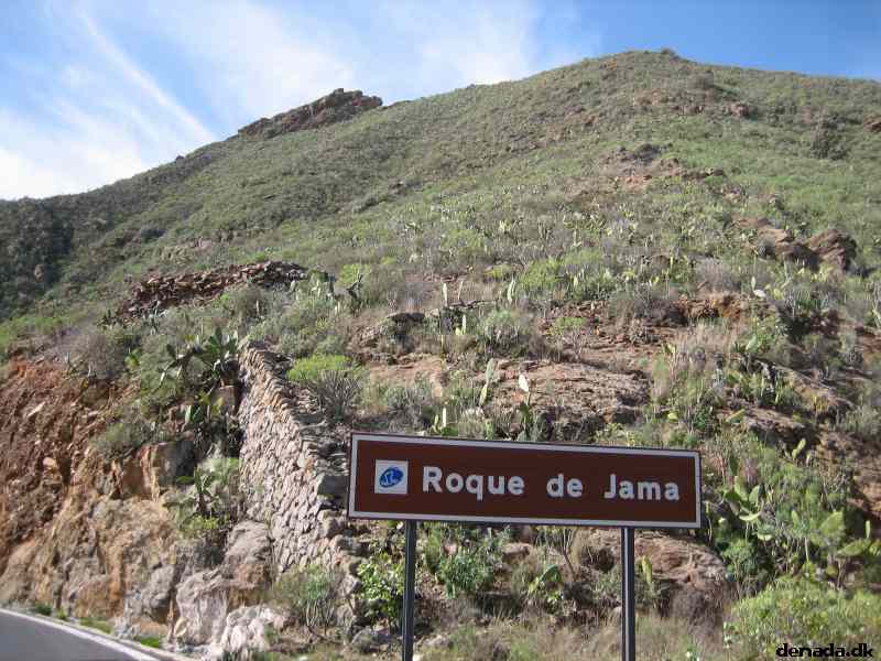 * Image 49