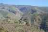 20080125_162417.jpg - 2008:01:25 16:24:17