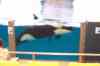 20080126_123600.jpg - 2008:01:26 12:36:00