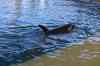 20080126_123614.jpg - 2008:01:26 12:36:14