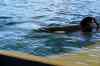 20080126_123753.jpg - 2008:01:26 12:37:53