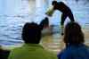 20080126_125415.jpg - 2008:01:26 12:54:15