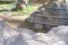 20080126_131946.jpg - 2008:01:26 13:19:46