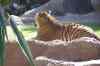 20080126_132354.jpg - 2008:01:26 13:23:54