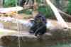 20080126_145338.jpg - 2008:01:26 14:53:38