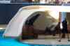 20080126_163037.jpg - 2008:01:26 16:30:37