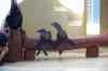 20080126_163148.jpg - 2008:01:26 16:31:48