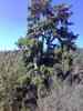 20080125_132437.jpg - 2008:01:25 13:24:37