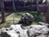 20080126_122028.jpg - 2008:01:26 12:20:28