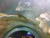 20080126_145930.jpg - 2008:01:26 14:59:30