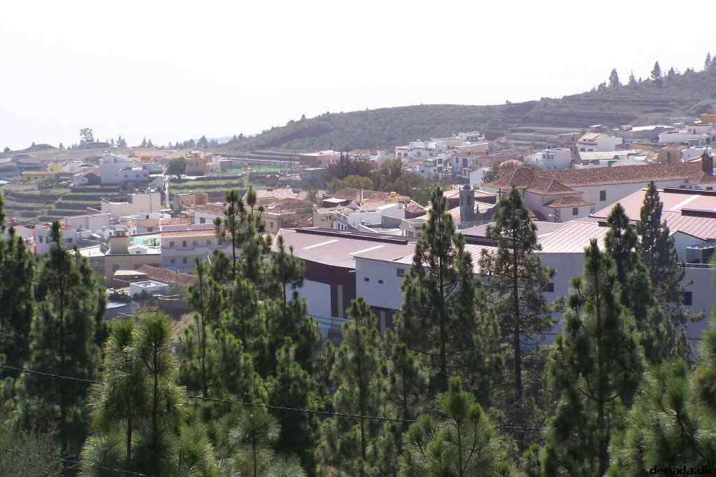 * Image 40