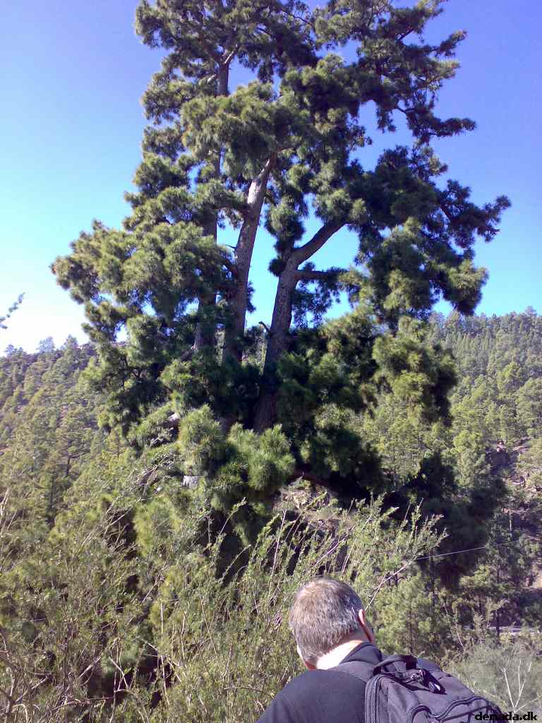 * Image 34
