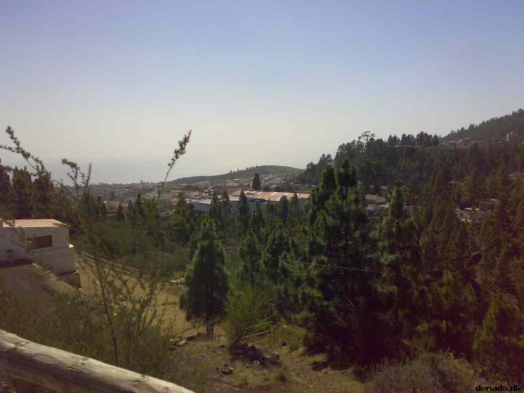 * Image 36