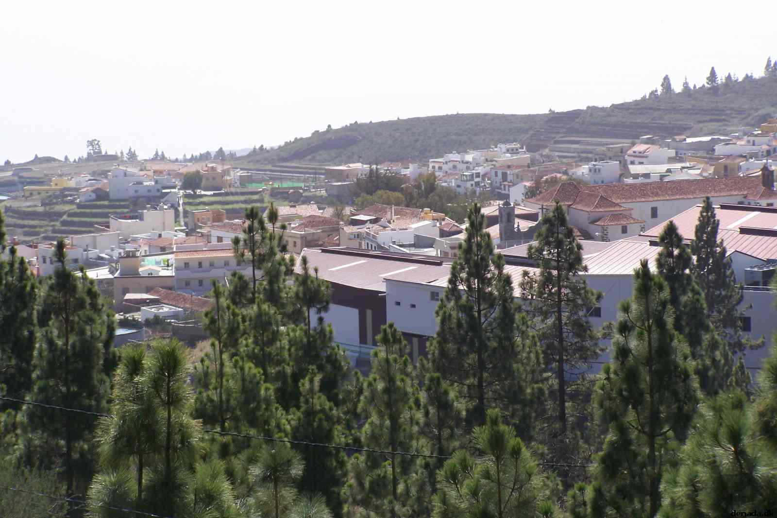* Image 40