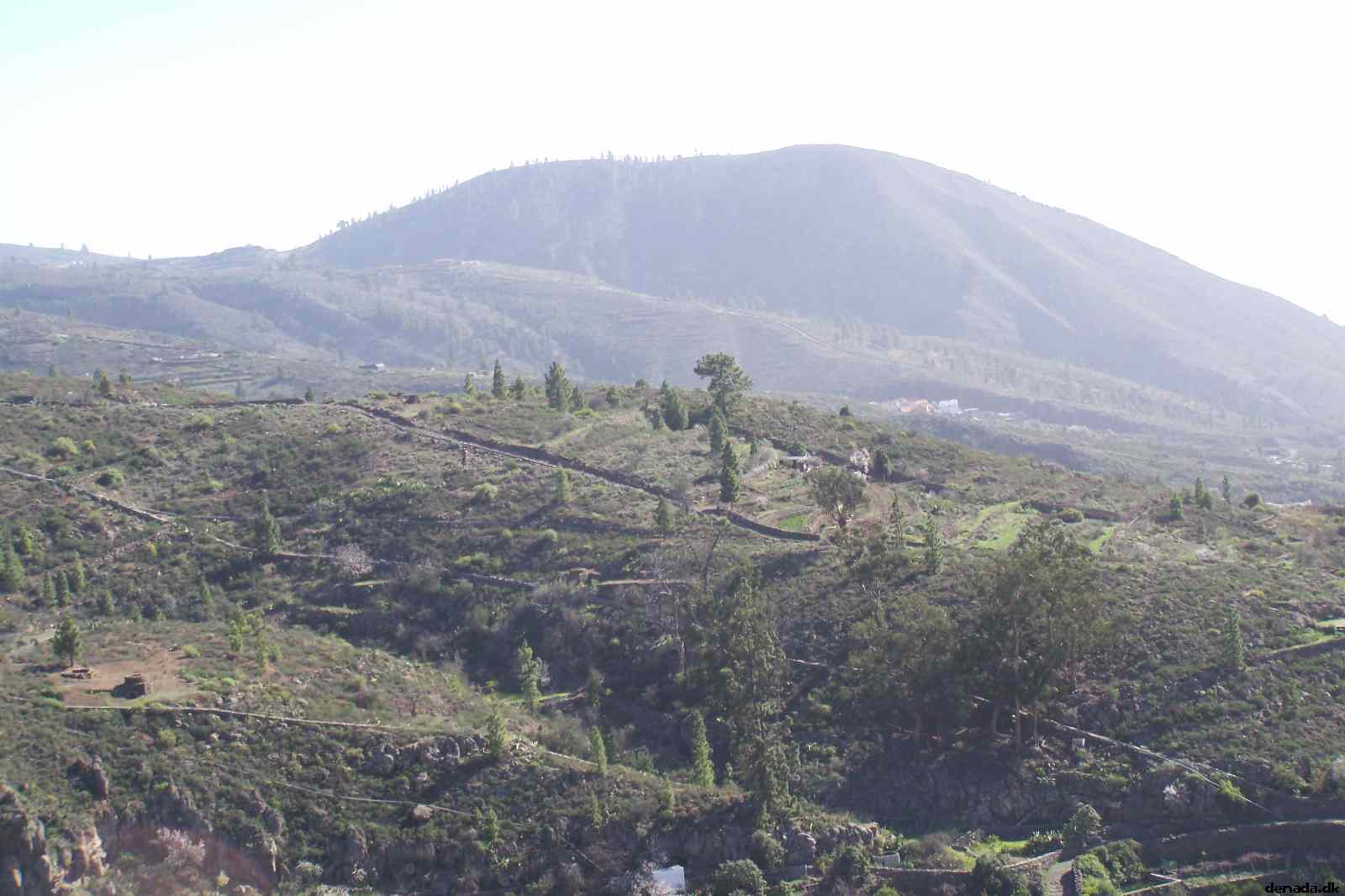 * Image 56