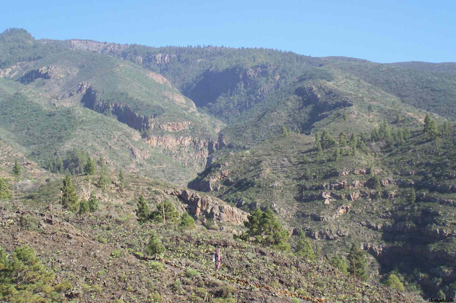* Image 57