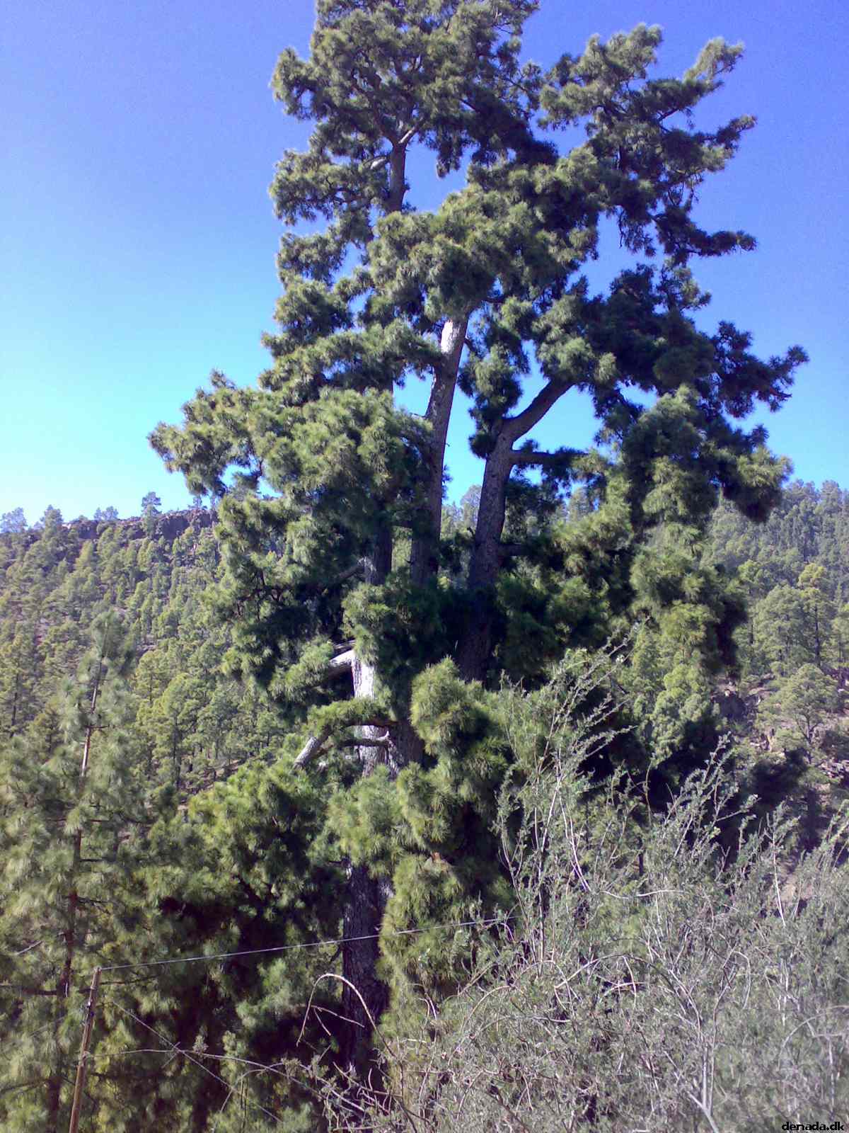 * Image 37