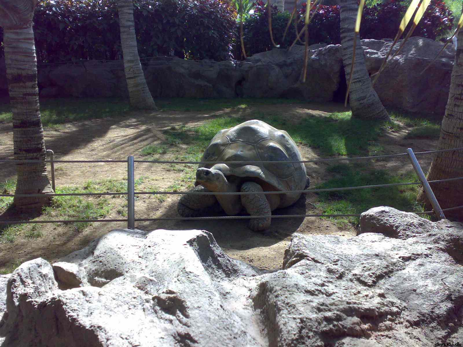 * Image 61