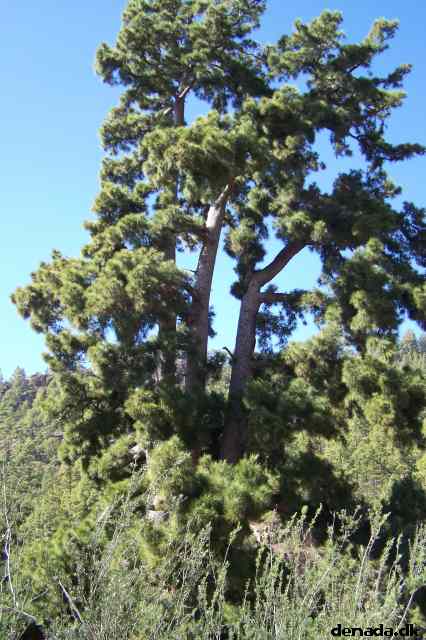 * Image 38