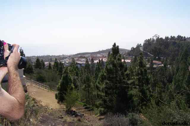 * Image 39